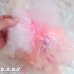画像8: Sweetie Pups / Party Time Toy Poodle