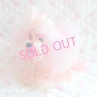 Sweetie Pups / Party Time Toy Poodle