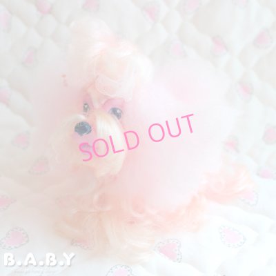 画像1: Sweetie Pups / Party Time Toy Poodle