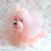 画像1: Sweetie Pups / Party Time Toy Poodle (1)