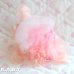 画像4: Sweetie Pups / Party Time Toy Poodle