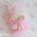 画像8: Sweetie Kitties / Party Time Himalayan