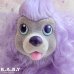 画像2: Sweetie Pups / Party Time Cocker Spaniel (2)
