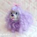 画像1: Sweetie Pups / Party Time Cocker Spaniel (1)