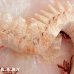 画像4: Coral Pink Heart Wreath
