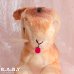 画像3: Character Novelty Antique Mocha Bunny