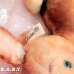 画像9: Character Novelty Antique Mocha Bunny