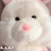 画像5: Turn Around Friends / Bear × Bunny