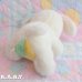 画像6: Baby Wild draw 4 Puppy
