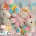 画像9: Pastel Paw Bear