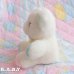 画像4: Pastel Paw Bear