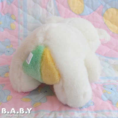 画像5: Baby Wild draw 4 Bear