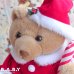 画像3: Twinkling Musical Teddies Mr & Mrs Clause Bear (3)
