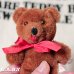 画像3: Ornament Scrubber Mini Bear / Bitter Mocca (3)