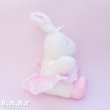 画像3: Ballerina Satin Bunny (3)