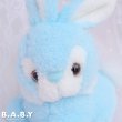 画像2: Timothy Bunny (2)