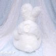 画像5: White Mom Bunny (5)