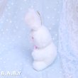 画像3: Red-Eyes Mini Bunny  (3)