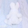 画像4: Pretty White Bunny (4)