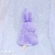 画像4: Grape Mini Bunny (4)