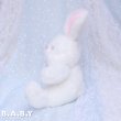 画像5: Pretty White Bunny (5)