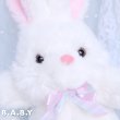 画像3: Pretty White Bunny (3)