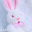 画像2: Red-Eyes Mini Bunny  (2)