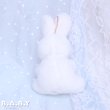 画像4: Red-Eyes Mini Bunny  (4)