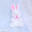 画像1: Red-Eyes Mini Bunny  (1)