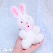 画像5: Red-Eyes Mini Bunny  (5)