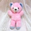 画像1: ACME Pink × Blue Bear (1)