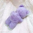 画像4: ACME Purple × Mint Mini Bear (4)