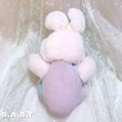 画像5: Half-half Pastel Bunny (5)