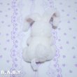 画像3: Jelly Mini Bunny (3)