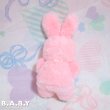 画像13: HAPPY EASTER Bib Bunny (13)