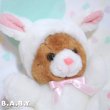 画像2: Bunny Costume Bear (2)