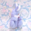 画像5: Blue Lavender Huggy Bunny (5)