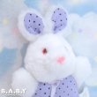 画像2: Lavender Dot Mini Bunny (2)