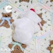 画像18: Merry Christmas Snow Mouse (18)