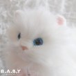 画像3: Blue Eyes White Longhair Fluffy Kitty (3)