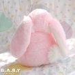 画像5: Pastel Pink Lop-Eared Bunny (5)