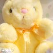 画像3: Marguerite Yellow Bunny (3)