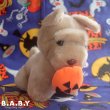画像1: Halloween Chocolate Puppy (1)