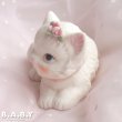 画像3: Pink Rose Cat Figurine (3)