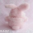 画像5: Ruffle Lace Bunny (5)