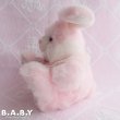 画像4: Ruffle Lace Bunny (4)