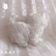 画像14: Cat With Ribbon Figure (14)