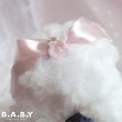 画像10: Antique Elegant Poodle (10)