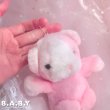 画像10: flabby Pink Mini Bear (10)