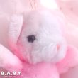 画像3: flabby Pink Mini Bear (3)